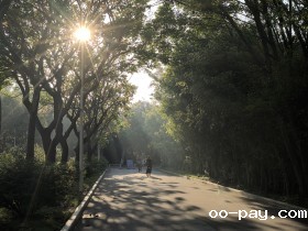 阳光倾泻