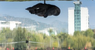 总有些惊奇的际遇