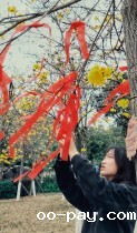 “嘉”景·荷塘悦色