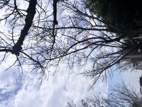 “嘉园”on my eyes