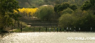 后来我才明白