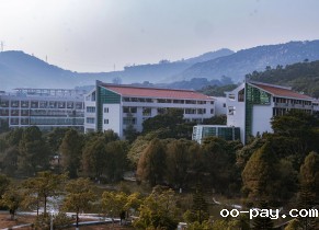 冬日的校园