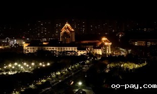 夜影鎏光
