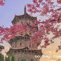 你是人间四月天