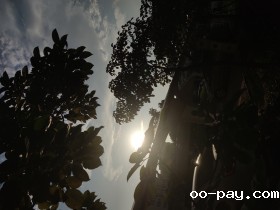 光