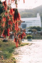 “嘉”里的后花园