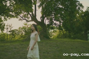 荔枝林和我