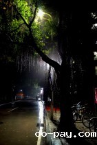 雨夜