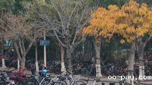 窥见·生活的俯仰之间