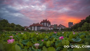 “红”运当头喜“莲莲”
