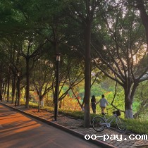 万物都要有裂痕，那是光照进来的地方