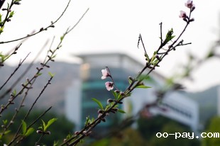 “嘉园”之春