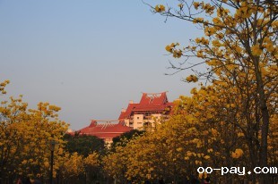 我用什么才能把你留下