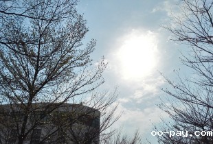 日光
