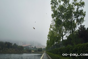 风扬
