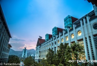 五彩嘉庚