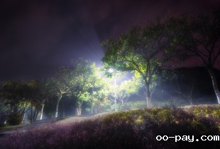 雾漫“嘉庚”