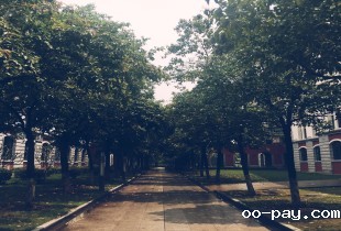 迟到的阳光