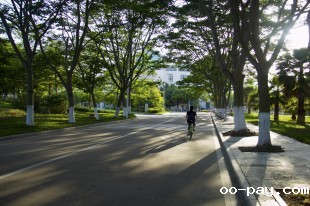 在路上