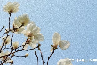 Coming Spring