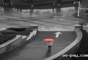 邂逅一场雨