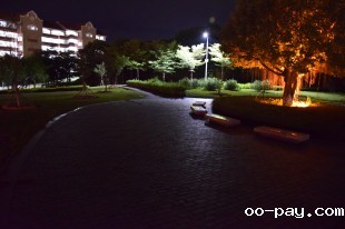 夜幕 家园