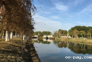 蓦然回首