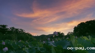 荷