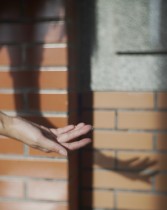 手语